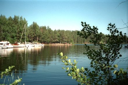 Satamosaari.