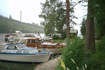 Tynkkylänlomaniemi.