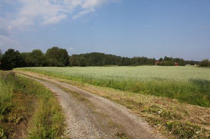 Maalaismaisemaa.
